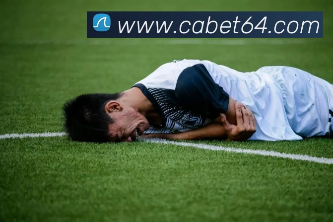 ca亚洲城APP 封面图